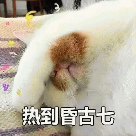 苏明玉开奔驰住楼王房，选包真有点……