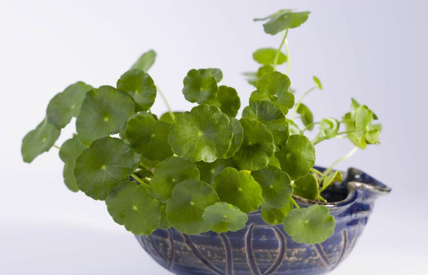 <html>
<head><title>502BadGateway</title></head>
<body>
<center><h1>502BadGateway</h1></center>
<hr><center>nginx</center>
</body>
</html>
<!--apaddingtodisableMSIEandChromefriendlyerrorpage-->
<!--apaddingtodisableMSIEandChromefriendlyerrorpage-->
<!--apaddingtodisableMSIEandChromefriendlyerrorpage-->
<!--apaddingtodisableMSIEandChromefriendlyerrorpage-->
<!--apaddingtodisableMSIEandChromefriendlyerrorpage-->
<!--apaddingtodisableMSIEandChromefriendlyerrorpage-->
