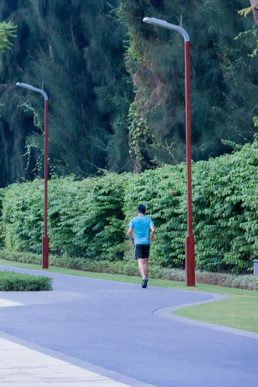深圳好玩景点地铁路线,深圳好玩免费景点地铁直达的