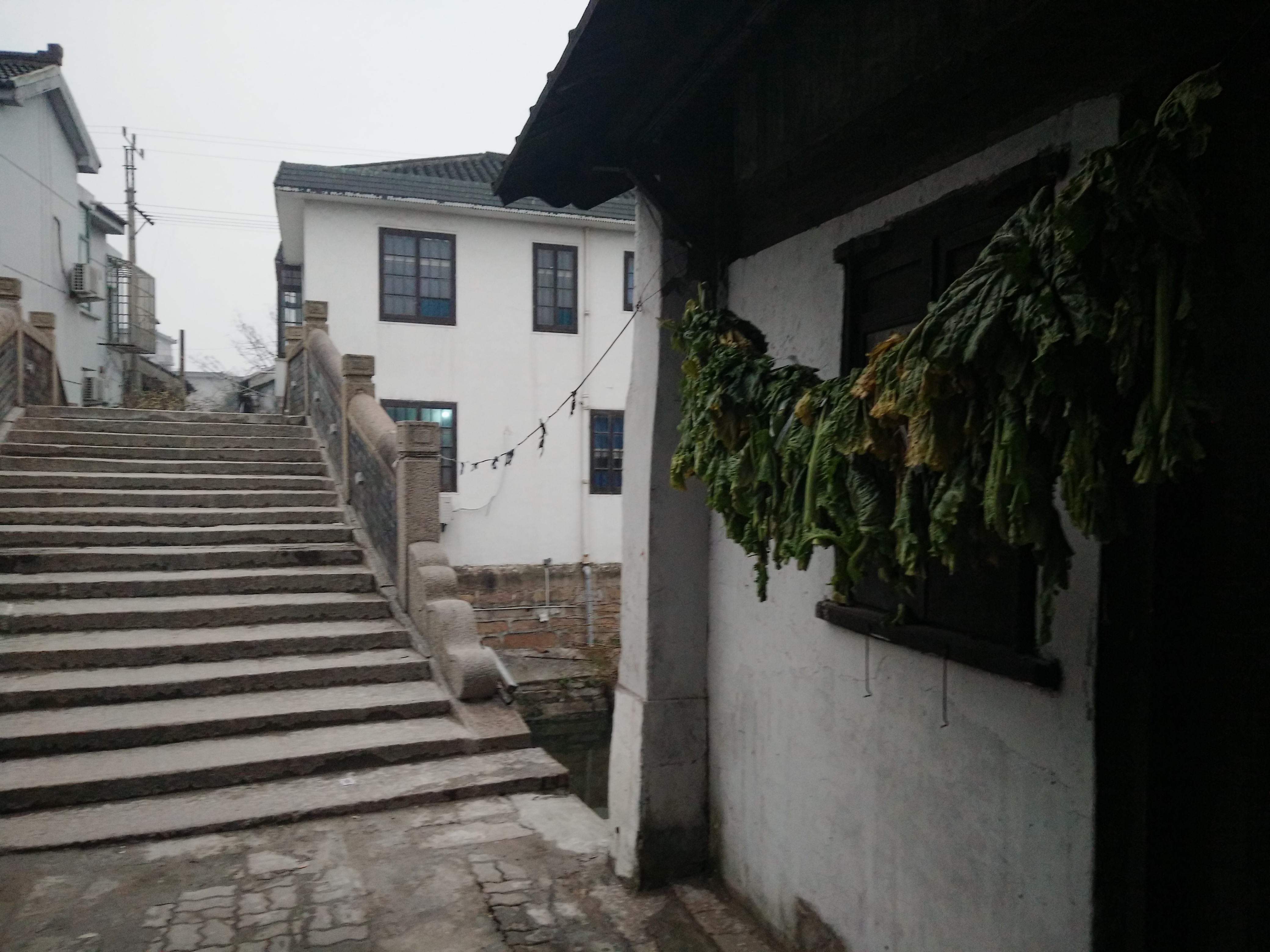 太仓港沙溪古镇,一河两岸的古镇