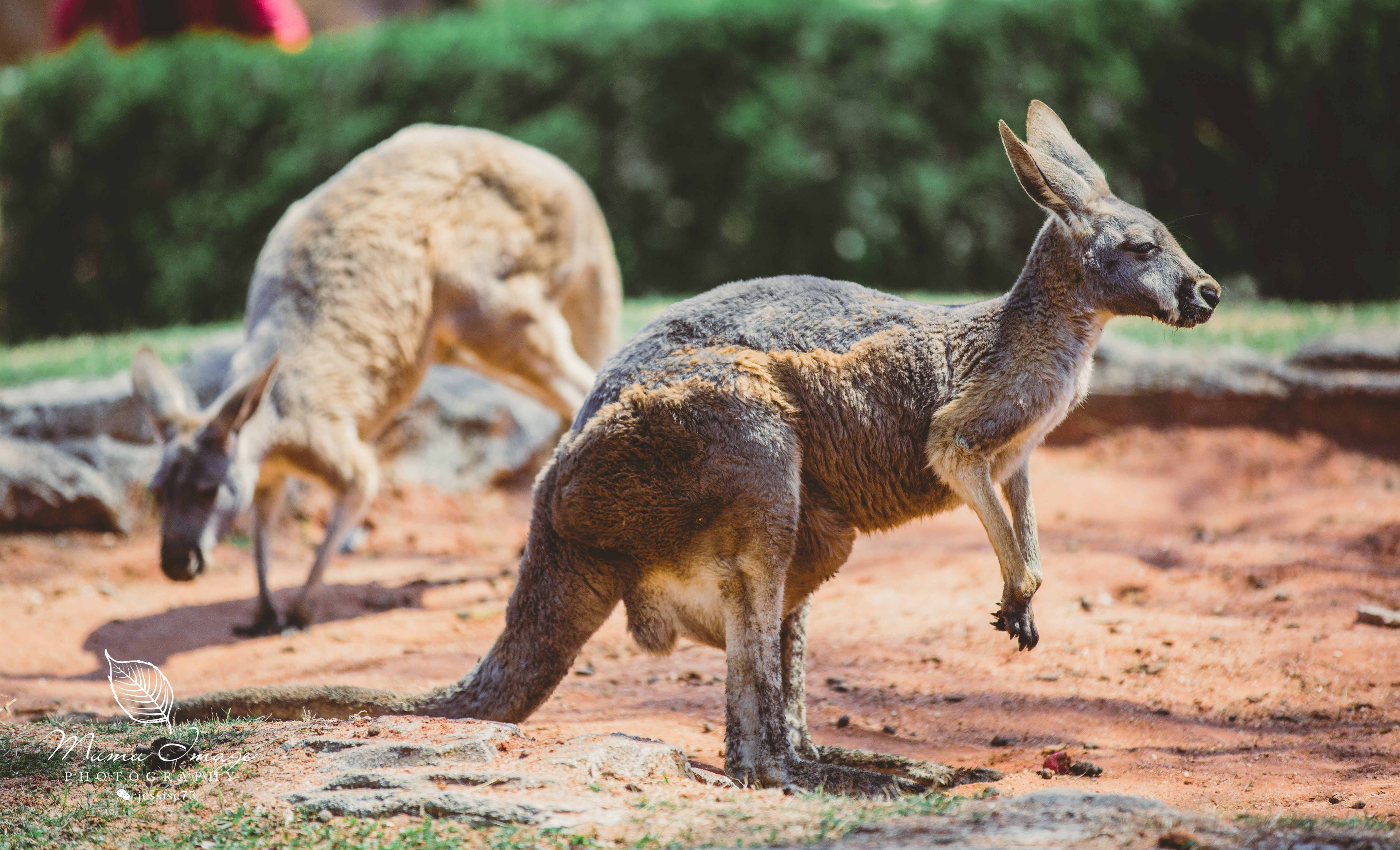 扬州是个不花钱的公园,扬州本地人最喜欢去的公园