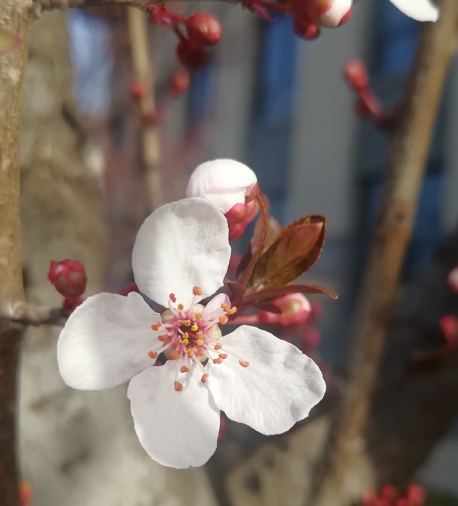对最美的逆行者尊敬,不能叶公好龙