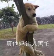 韩女星沦为太子爷吸金利器,被迫做了财阀替死鬼的内幕故事