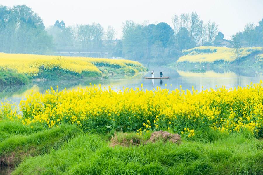 怀念春日的诗句古诗,七首必读的春日诗句