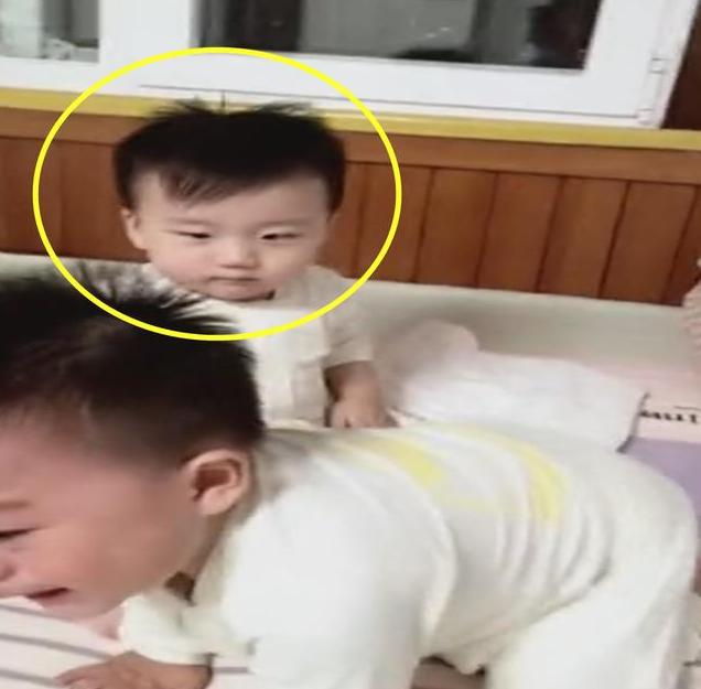 双胞胎两个爹亲子鉴定结果,双胞胎亲子鉴定一个不是亲生