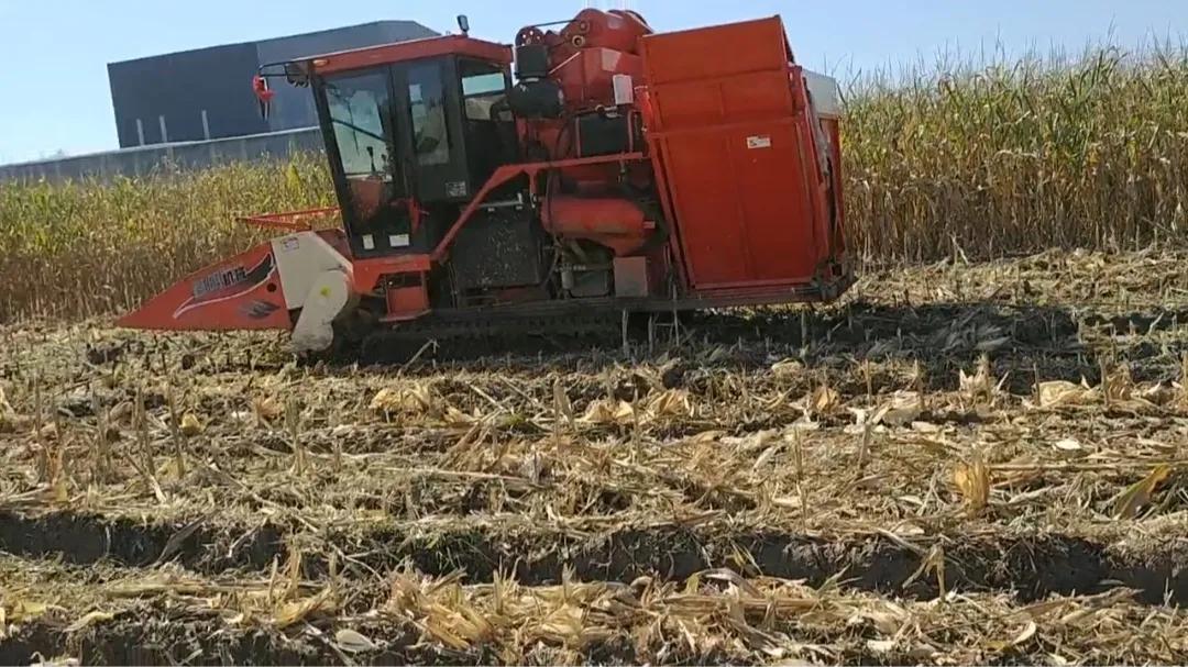 收玉米一万多元小型收割机,东北收割机收玉米多少钱一亩