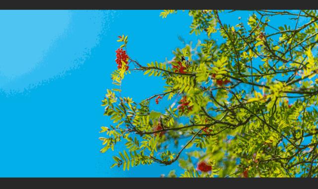 ps抠图头像最快又完整的方法,ps抠图最简单最快的方法