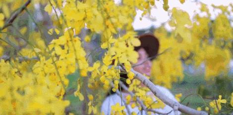 你不知道的手机拍照功能,春天的视频拍摄教程不拍花