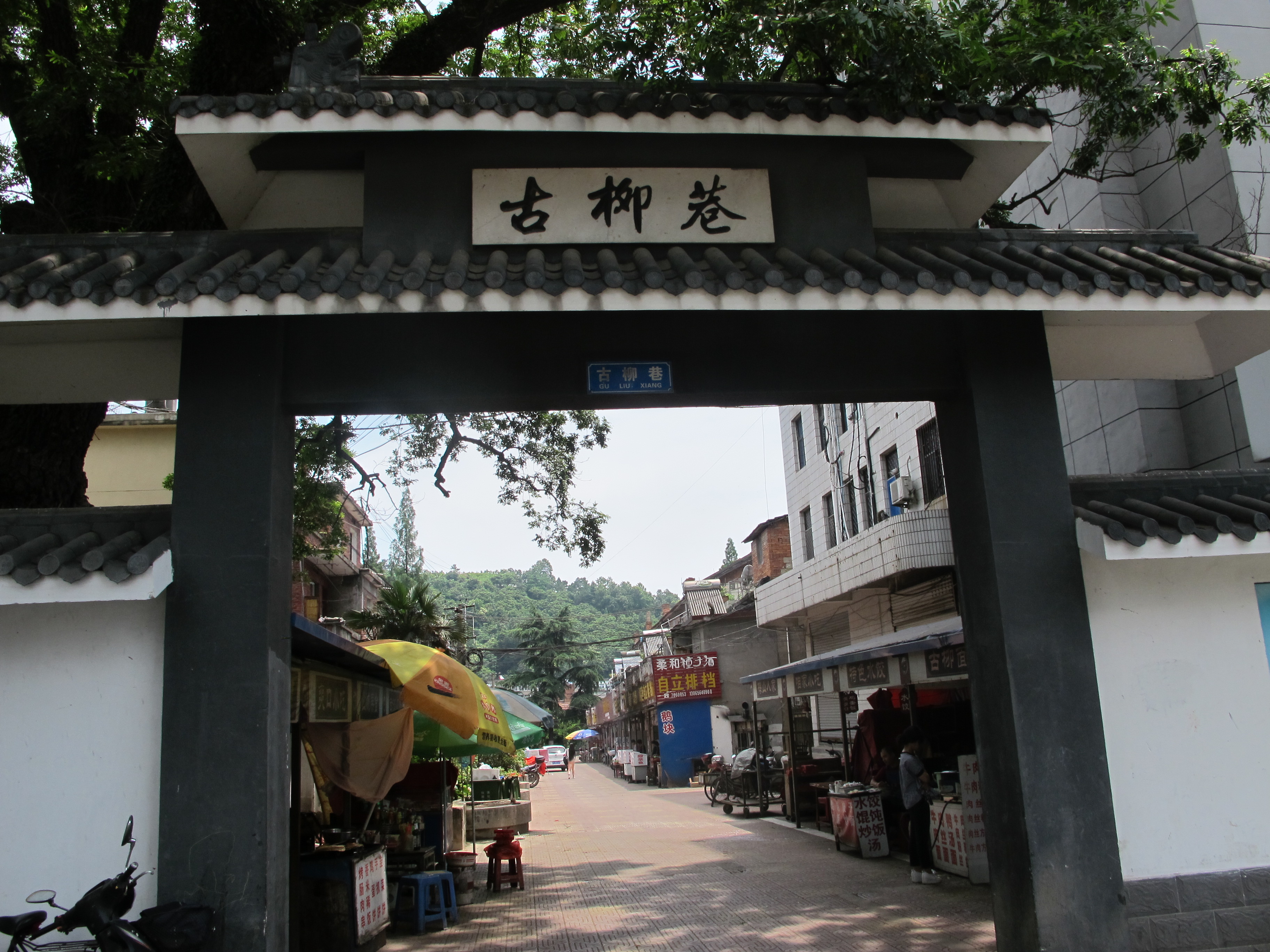 去皖西金寨，纯属一个美丽的意外（一）