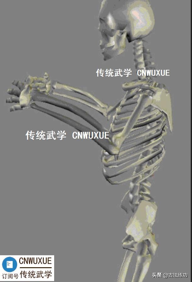 站桩沉肩坠肘的正确方法,站桩气沉到脚底是什么阶段