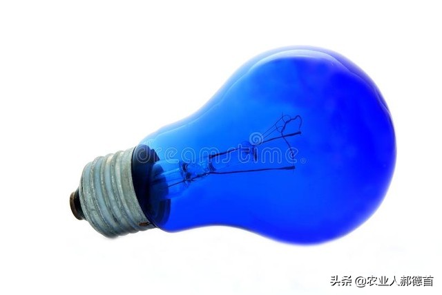 白菜萝卜生虫用什么农药好用,白菜菜青虫打不死怎么办