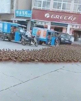 刚从后院挖出来的,大家帮我鉴定一下,我是不是要发财了?