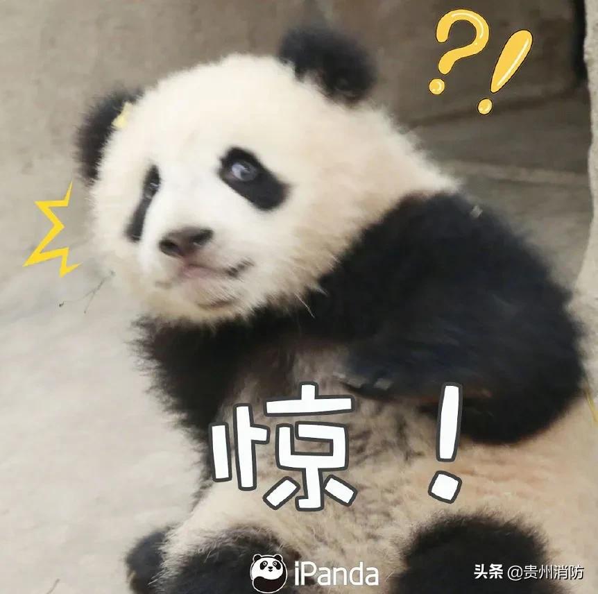 五名房东被罚怎么处罚,一个月3名房东被罚