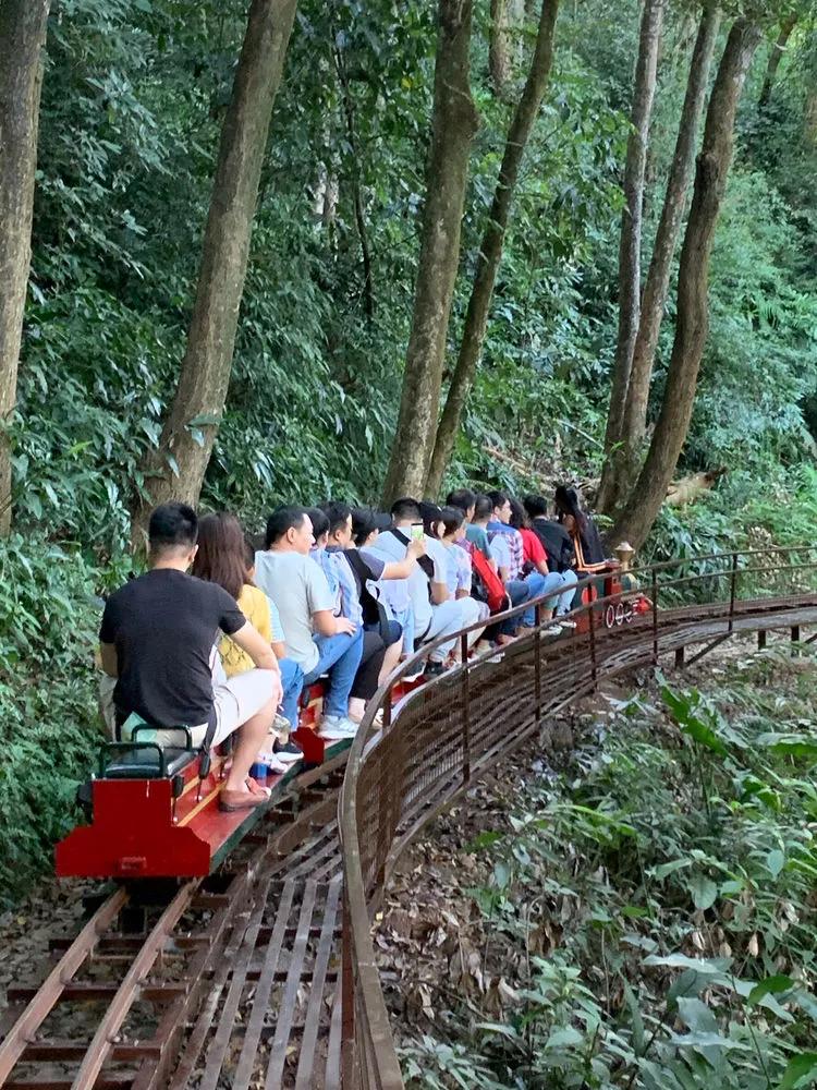 有玩有吃的礼物,有玩有吃的旅游景点