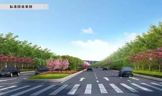 最新46条好消息,2019这些好消息