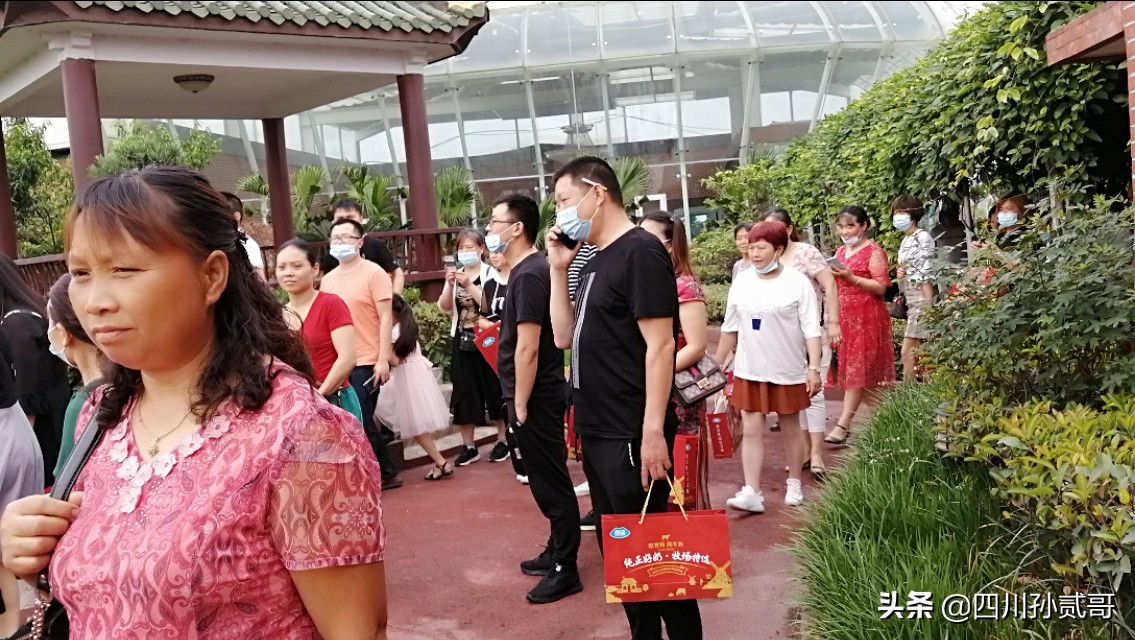 雪宝奶牛场,参观雪兰牛奶工厂心得体会