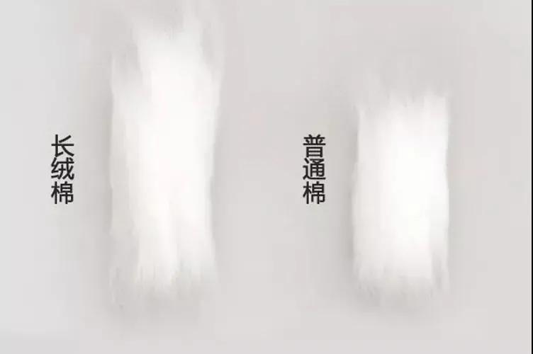 氛围感*疆新**棉四件套!浪漫丛林双重色彩,全棉磨毛很暖和