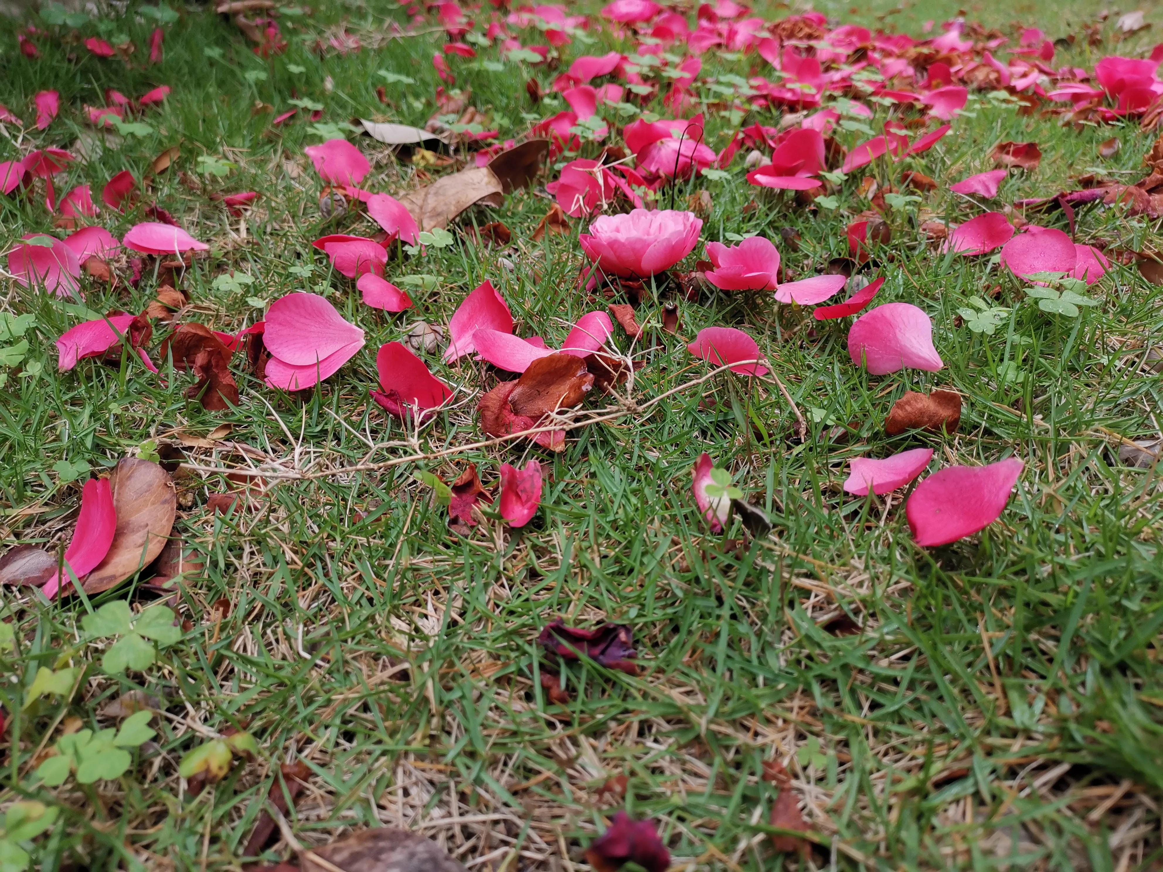 濮戝珎鏃呰璁板綍,濮戝珎鏃呰鏃ヨ