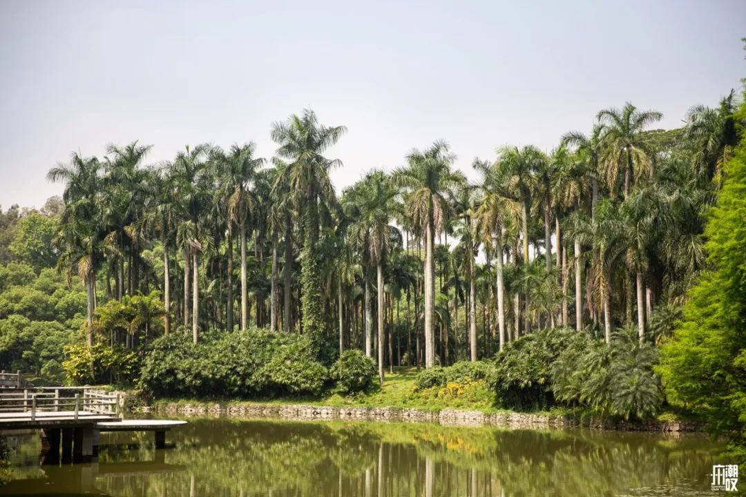 300+万㎡原始森林秘境，天河就有