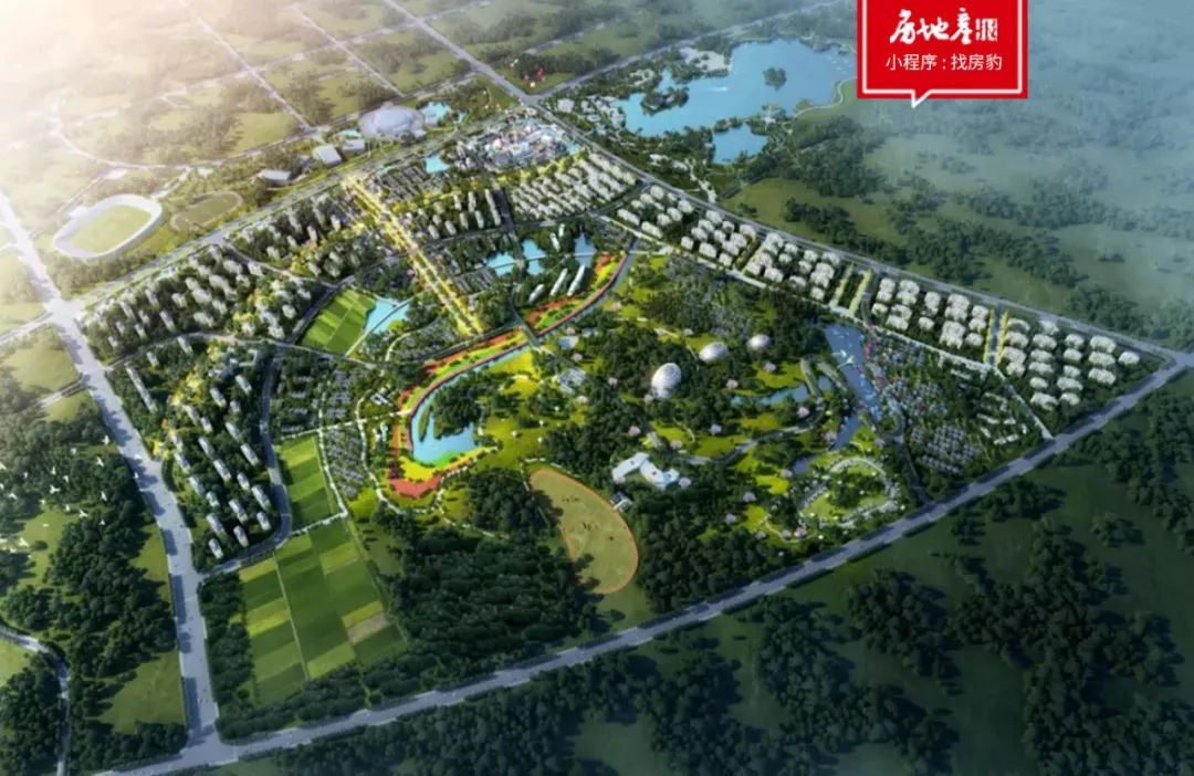 桃李宋卫平,宋卫平的桃李春风