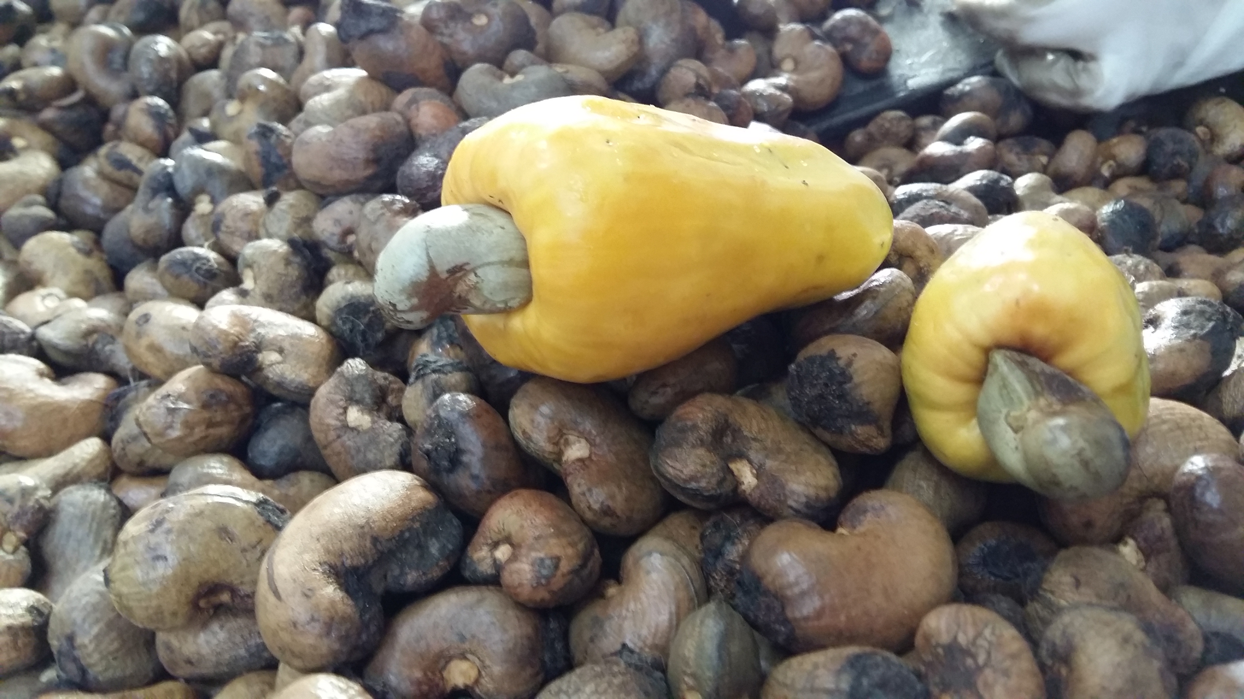 泰国普吉岛旅游攻略小视频,泰国普吉岛自由行旅游最新攻略