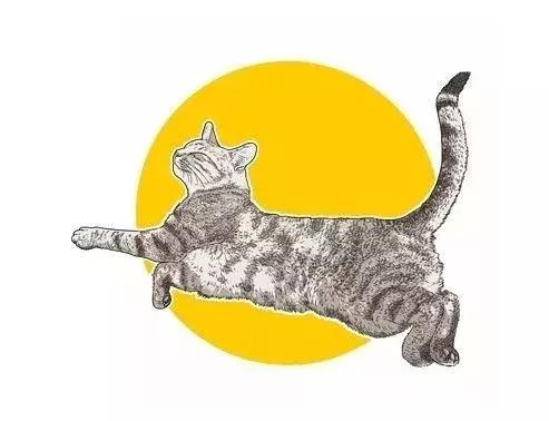 解析女性的各种*梦春**——是否有一种你做过？