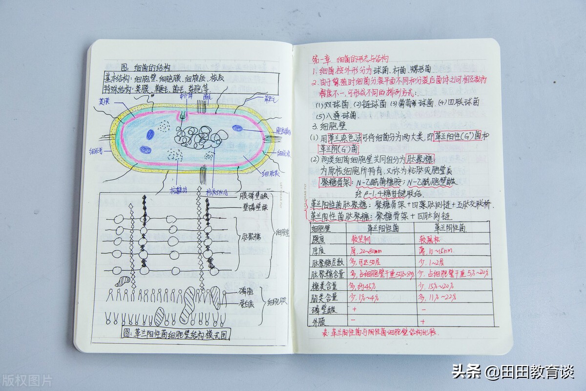 培训机构超前收费会受到处罚吗,校外培训机构违规能退费吗