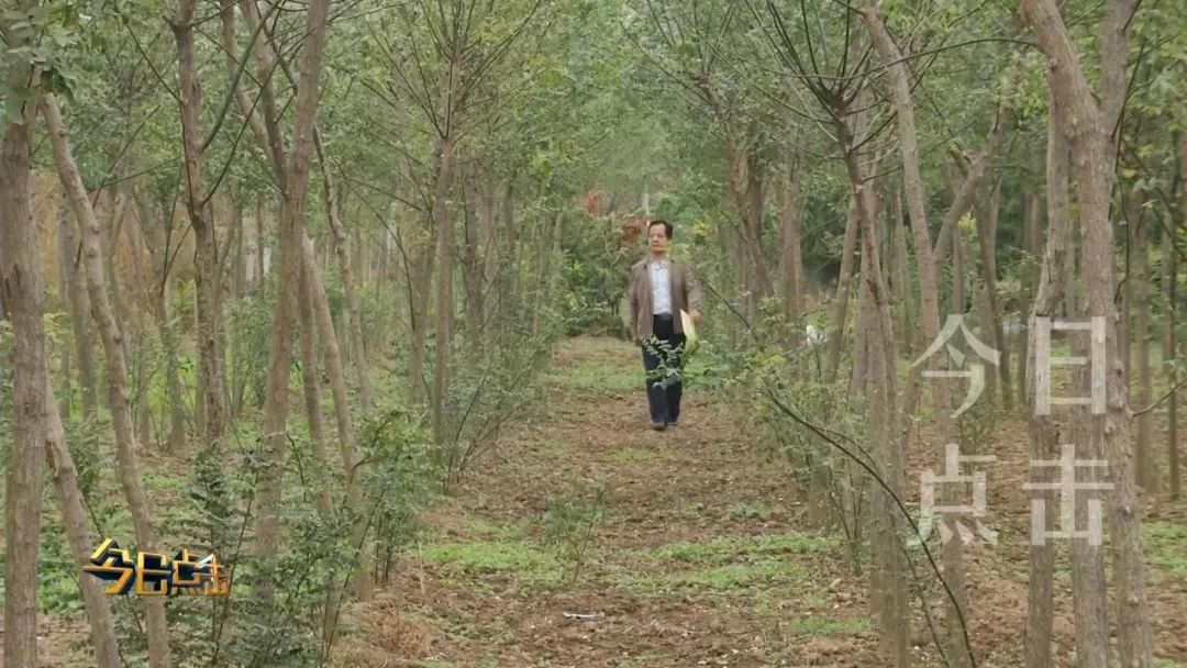 在兴平投资建厂8年难开工!究竟为什么?