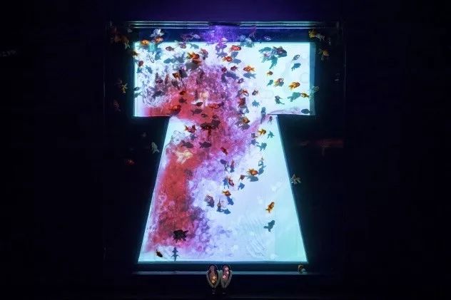 日本网红打卡艺术展,日本十大网红展