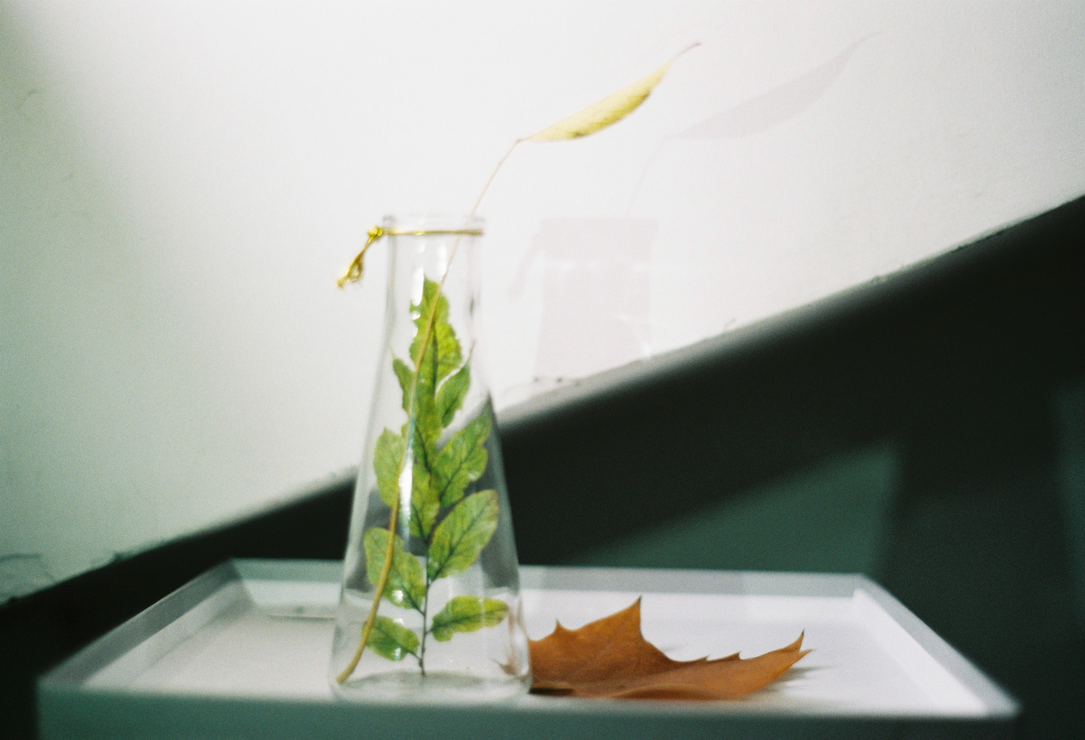 怀孕多久身体激素开始变化,女性怀孕了身体有哪些变化