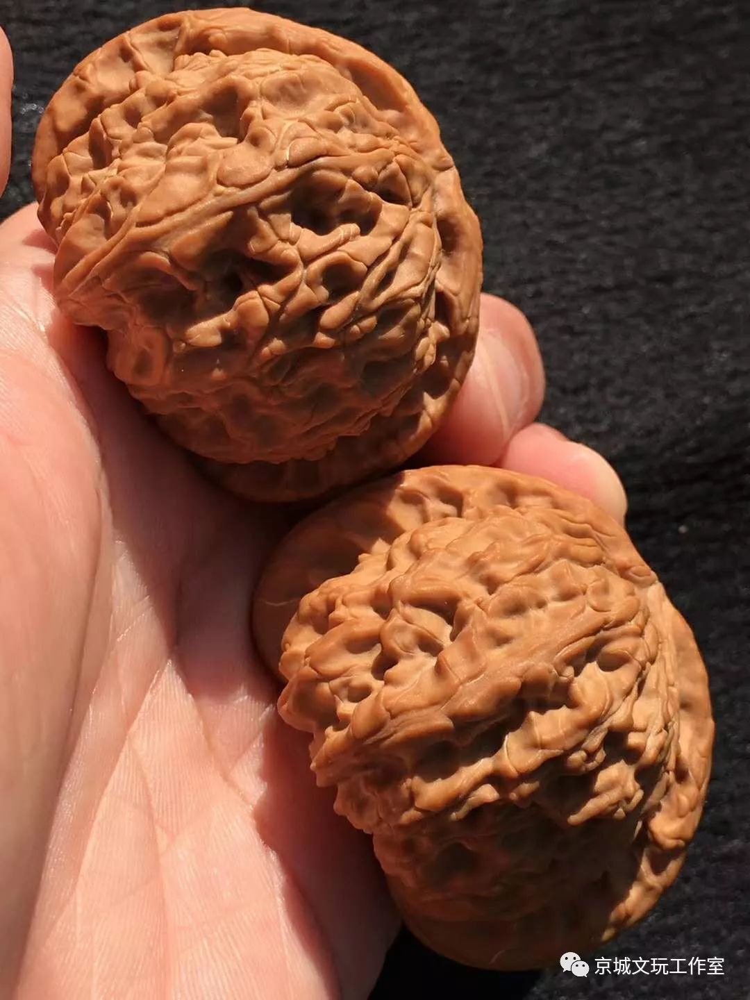 文玩核桃都是哪个地方的,你知道核桃原本是什么样的吗