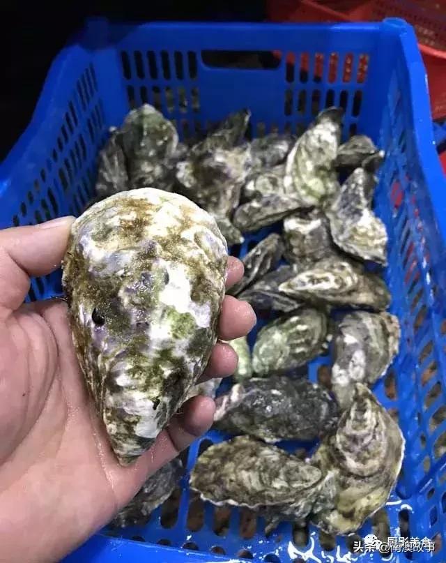 水煮贝壳类海鲜煮多久,海边海鲜用什么水煮好吃