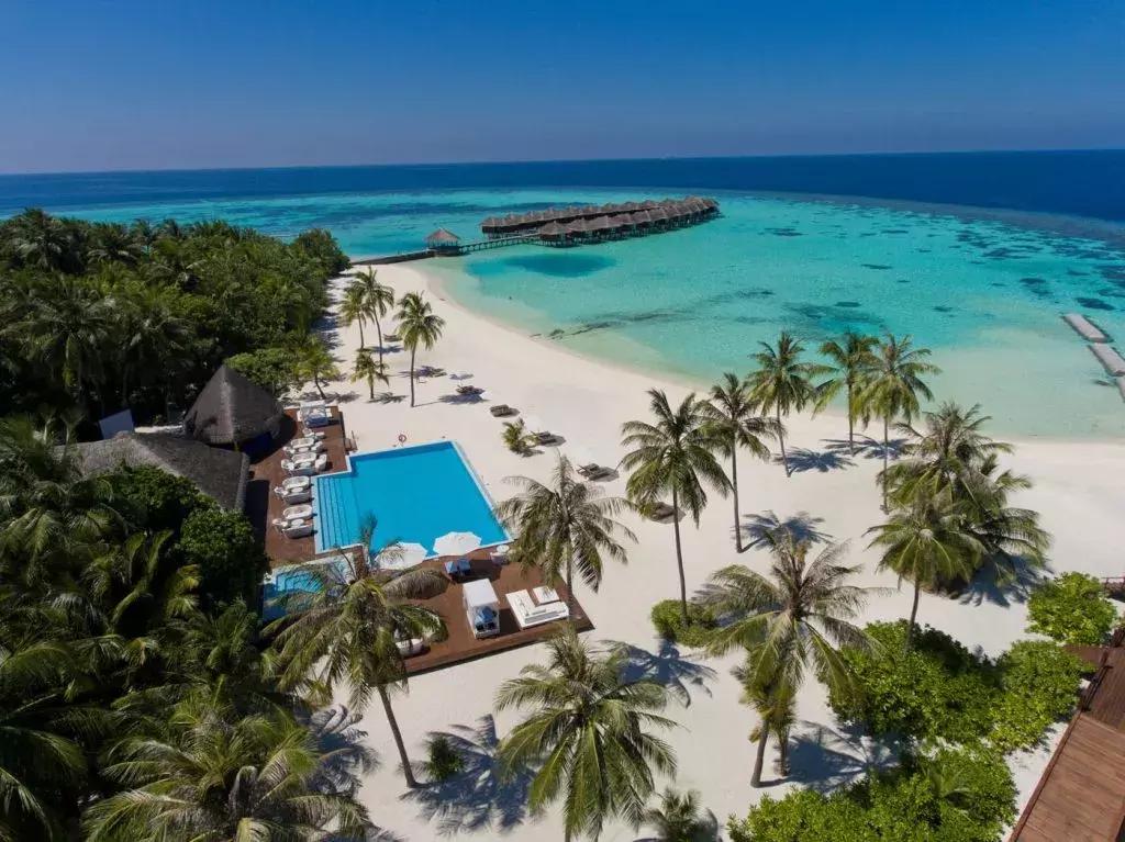 马尔代夫浮潜珊瑚最好的岛,马尔代夫魔富士岛浮潜攻略