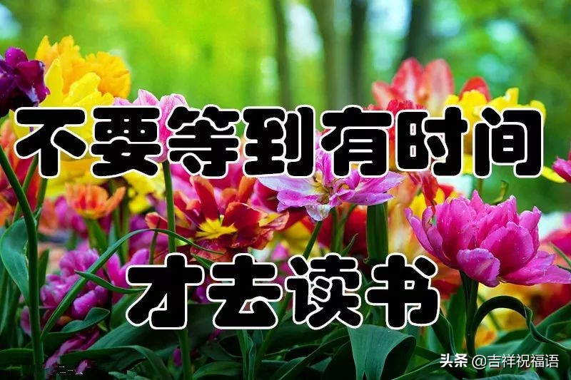 几句话送给未来的自己,几句话送给年轻的你们