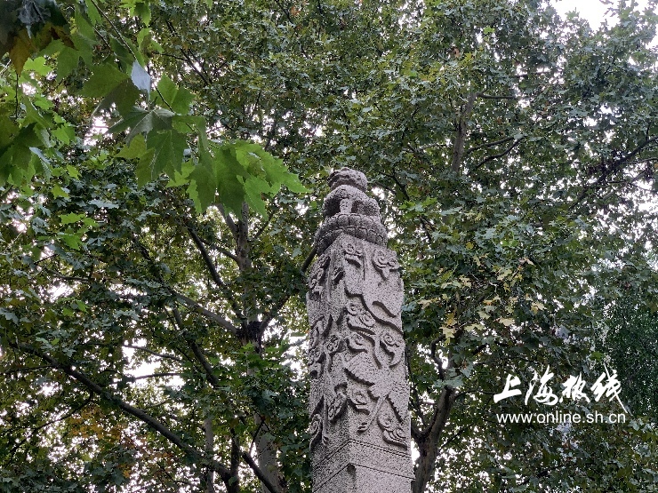 上海徐家汇公园特点,上海徐家汇公园看点