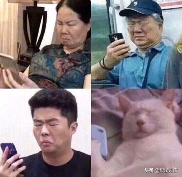 safari浏览器如何翻译整个页面,safari浏览器一键翻译