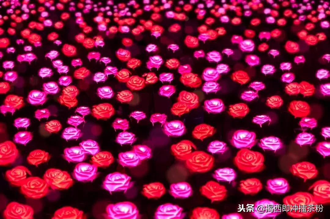 过分美丽!圣诞灯饰点亮香港:泰迪熊、比卡超、布丁狗陪你过圣诞