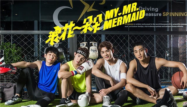 运动题材剧汇集：胡歌足球，Tfboys棒球，彭昱畅网球，白敬亭乒乓球