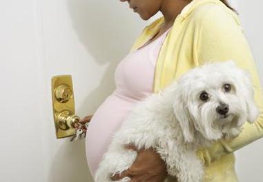 孕妇家里可以养狗吗但是不接触狗,孕妇和带小婴儿能养狗吗