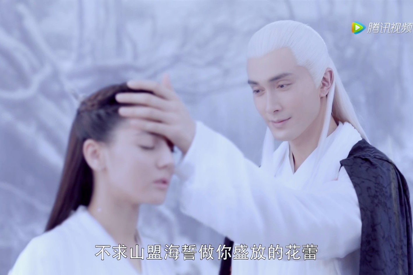 三生三世枕上书姬蘅掉入悬崖,三生三世枕上书姬衡是不是假失忆