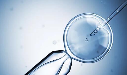 关于试管婴儿，女性必须知道的8个实情，这对成功率有很大的帮助