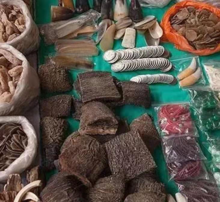 十大珍稀皮料,珍稀皮革