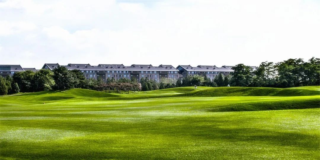 万柳北京,海淀万柳周围好玩的地方