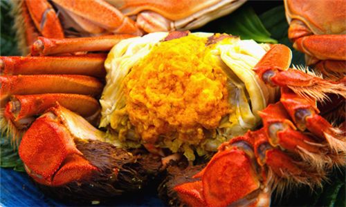 大闸蟹什么季节上市最好吃,公大闸蟹和母大闸蟹哪个好吃