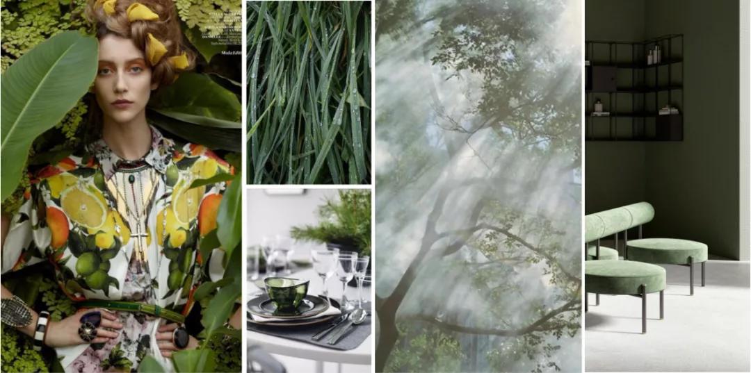 室内色彩设计中的基本原则,色彩心理学与室内设计