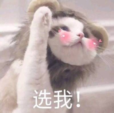 鐜栧瘜浜轰汉璐穚pmoney,鎵撴姌涓嬭溅