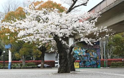 日本东京地铁攻略,日本东京旅游攻略景点大全