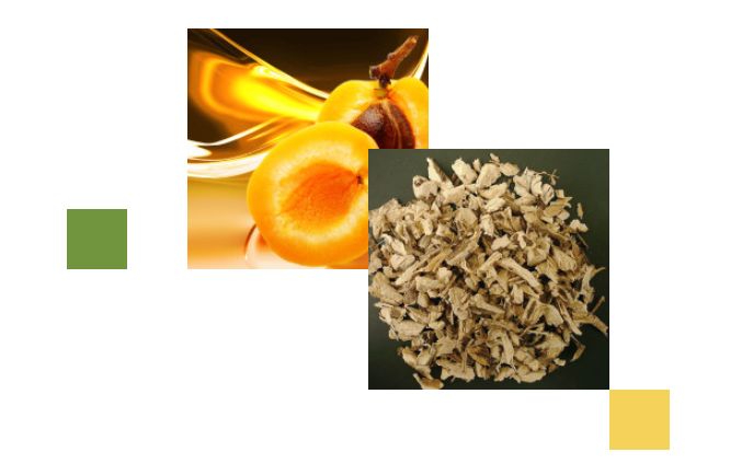 资生堂护理道头皮生机系列洗发水,资生堂头发柔顺精华液