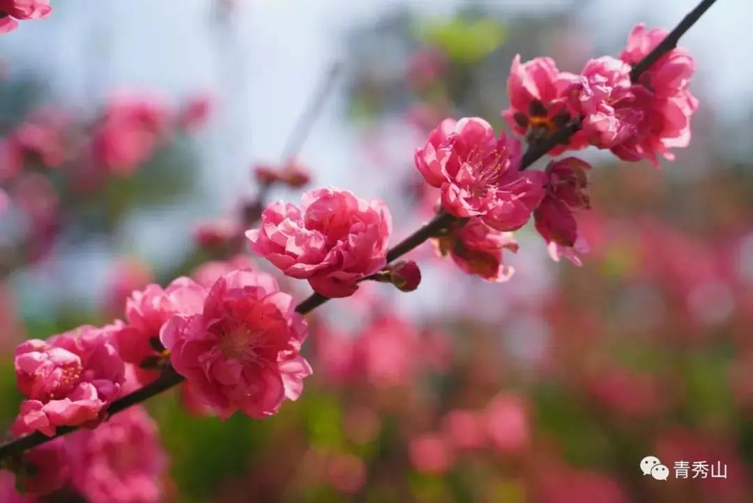 南宁马拉松路线图最新图,南宁半程马拉松路线图