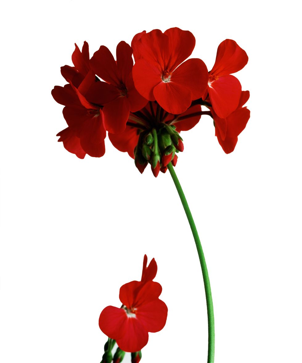 精油护肤独一无二的选择,挑护肤品去哪里看